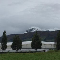 Cotopaxi cold