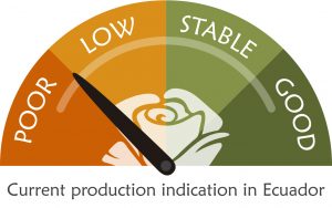 Production update 6